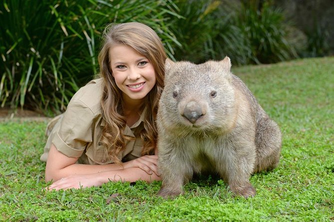 Australia Zoo Day Trip From Brisbane - Overview and Experience