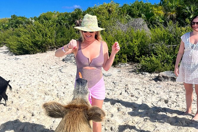 *Authentic Swimming Pigs Tour*Shark Encounter*Feed Iguanas*