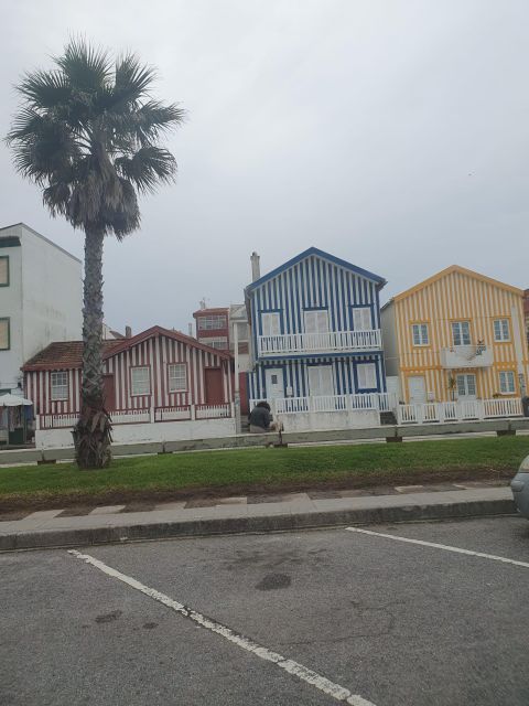 Aveiro and Coimbra Day Trip From Porto