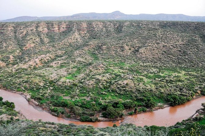 Awash National Park Tours