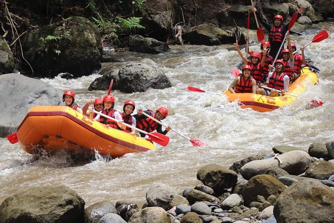 Ayung River - White Water Rafting Bali - Overview of Ayung River Rafting