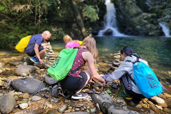 Bach Ma National Park Trekking Daily Tour From Da Nang, Hoi an - Tour Overview and Highlights