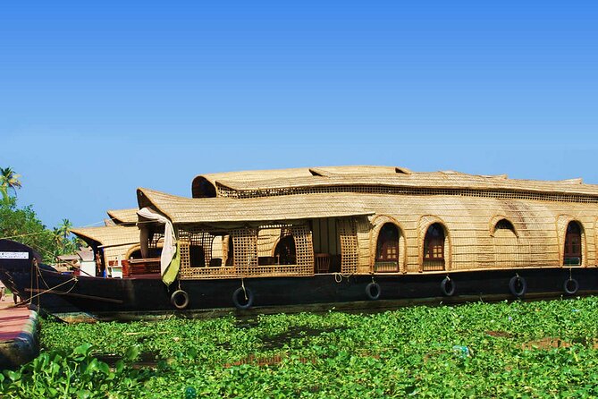 Backwaters Houseboat Cruise in Aleppey With Lunch From Cochin - Private Tour - Overview of the Kerala Backwaters