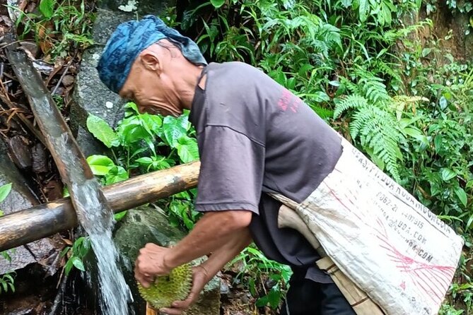 Baduy Tribal Tracker and Village in Private Tour Full Day & Lunch - Tour Overview
