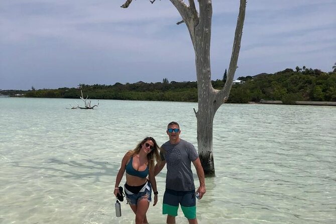 Bahamas Famous Pink Sand and Pig Experience With Snorkeling - Highlights and Inclusions