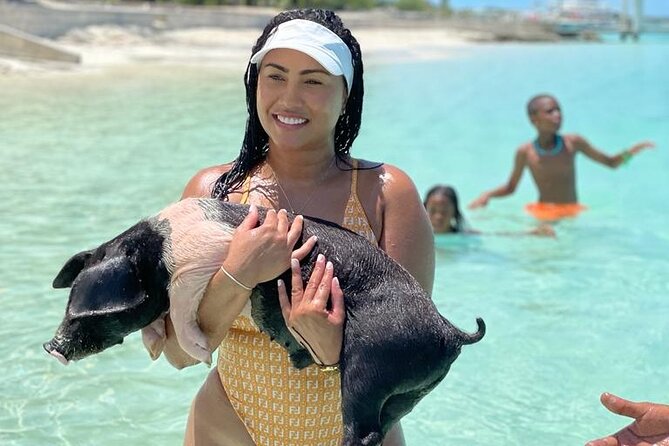 Bahamas: Swimming Pigs, Snorkeling, Beach Break Package
