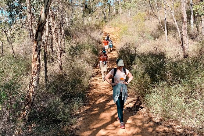 Baldwins Bluff Guided Hike