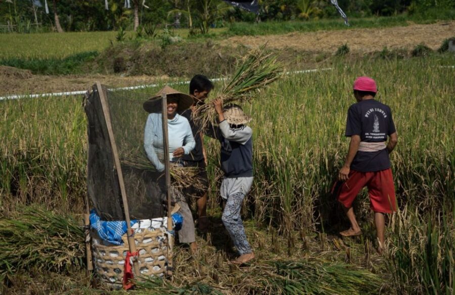 Bali: 6-Hour UNESCO Sites Cultural Walking Tour