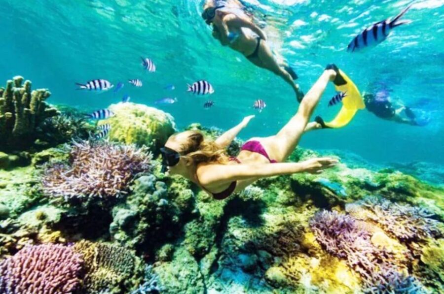 Bali: All-Inclusive Blue Lagoon Snorkeling & Waterfall Tour - Tour Overview and Pricing