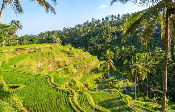 9 Best Guided Tours In Nusa Dua