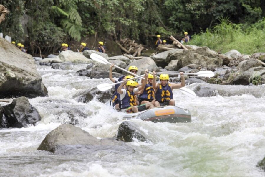 Bali: Ayung River Premium White Water Rafting With Lunch