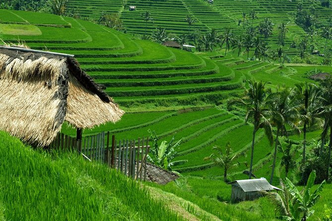 Bali: Bedugul Lake Temple, Twin Waterfall, UNESCO Rice Field - Product Details