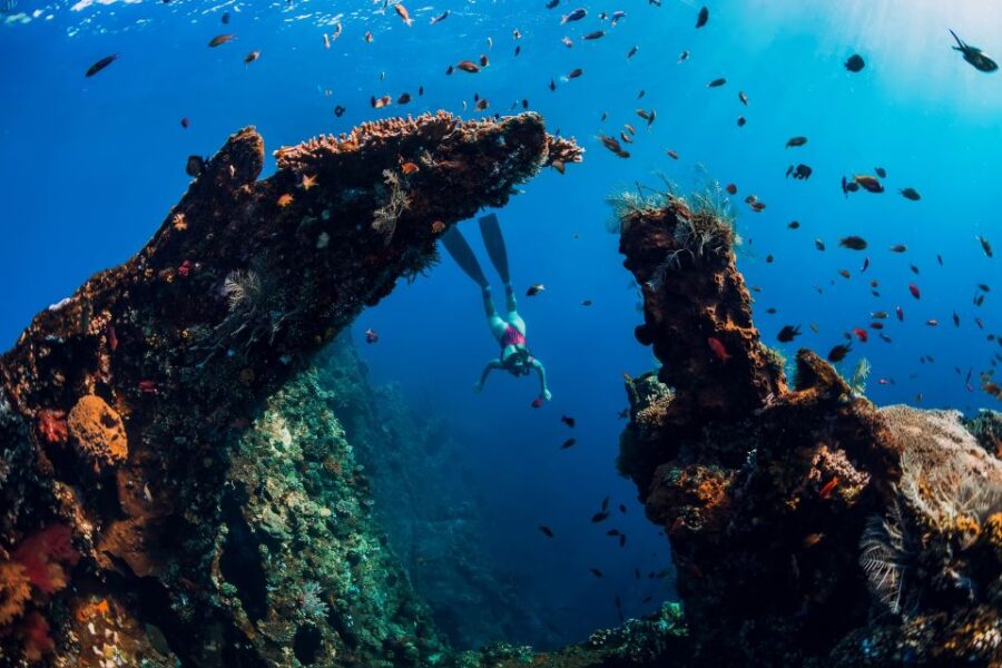Bali: Customize Your Own Private Guided Tour in Bali