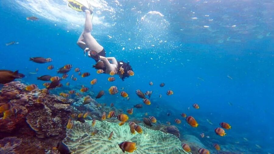 Bali: Discover Beauty of Nusa Penida Snorkeling and Island - Overview of the Tour