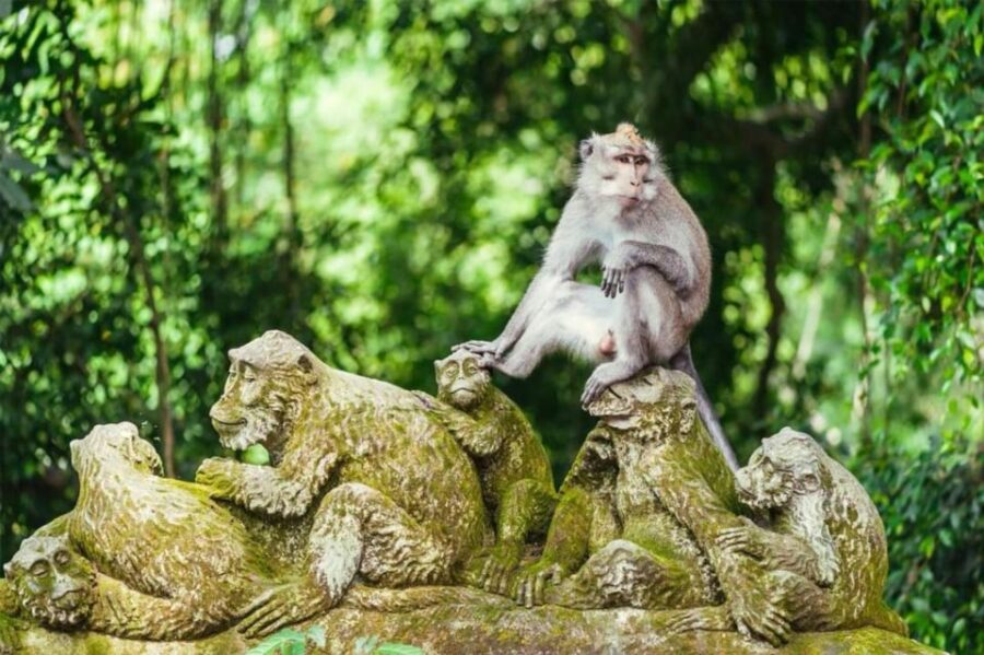 Bali : Discovery UNESCO Site Taman Ayun & Tanah Lot Temple