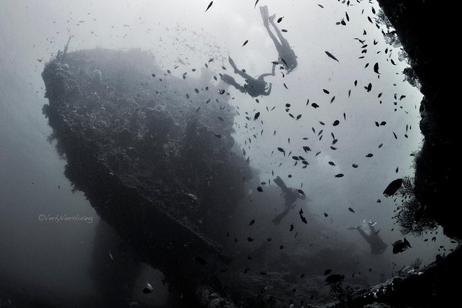 Bali Diving Day Trip-Manta Point/Tulamben Shipwreck-Fun Dive