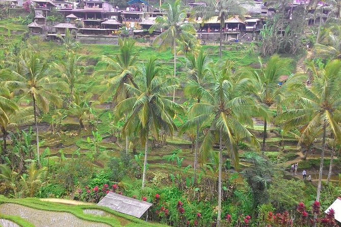 Bali Hindu Temple, Rice Terrace, Waterfall -All Inclusive - Attractions Included
