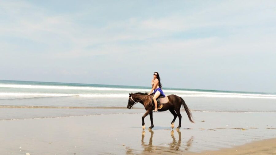 Bali: Horse Riding Tour on Seminyak Beach Include Transport - Tour Overview and Pricing