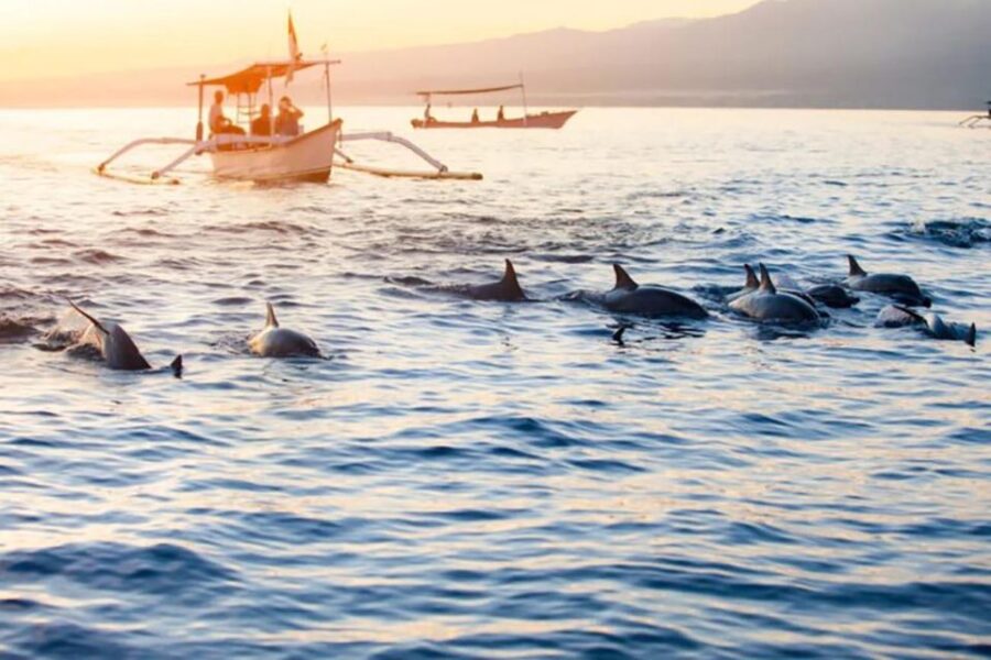 Bali: Iconic Handara Gate With Dolphin Watching Tour