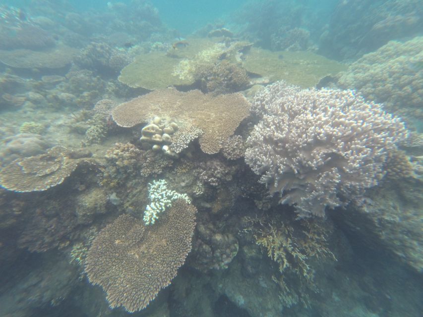 Bali: Labuan Amuk Snorkeling With Lunchbox - Activity Details