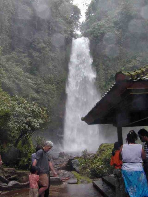 Bali: Lovina Beach and Bedugul Mountain Private Tour