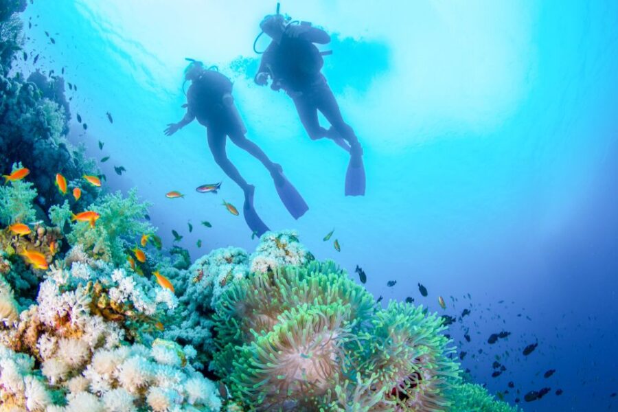 Bali: Padangbai Blue Lagoon Beginners Dive Experience
