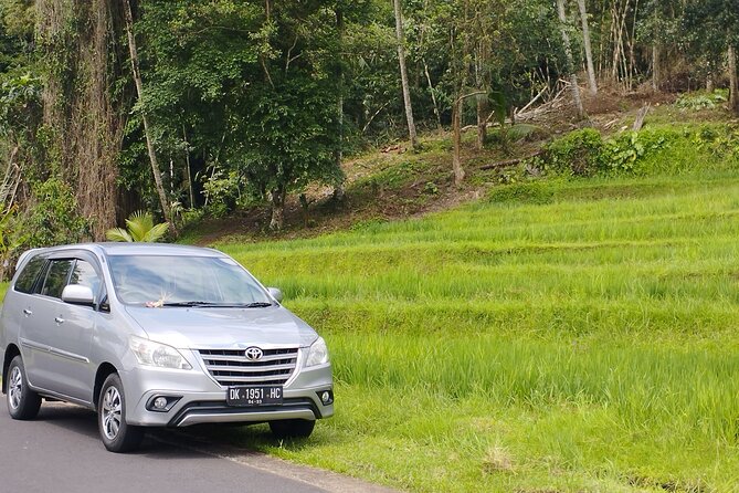 Bali: Private Airport Transfer
