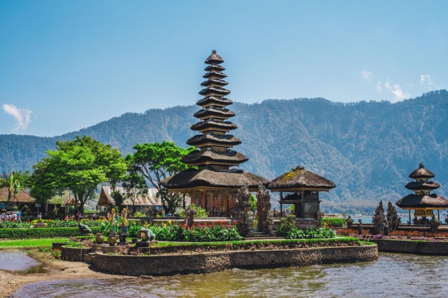Bali Private Car Charter With English Speaking Driver - Service Overview