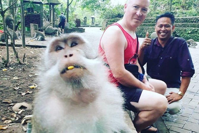 Bali Private Custom Tour - Bali Car Hire With Driver - Inclusions