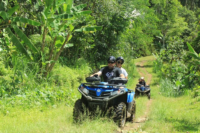 Bali Quad and Buggy Discovery Tour, Including Round-Trip Transfer - Tour Overview