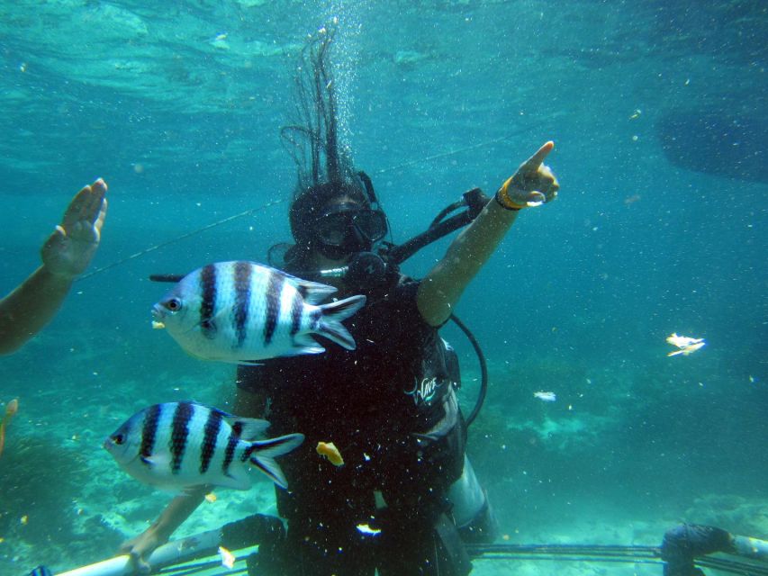 Bali: Scuba Diving For Beginner Experience