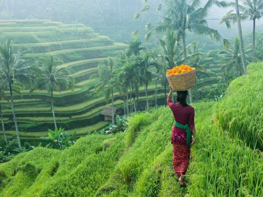 Bali: Secret and Untouristic Tour North West Bali.