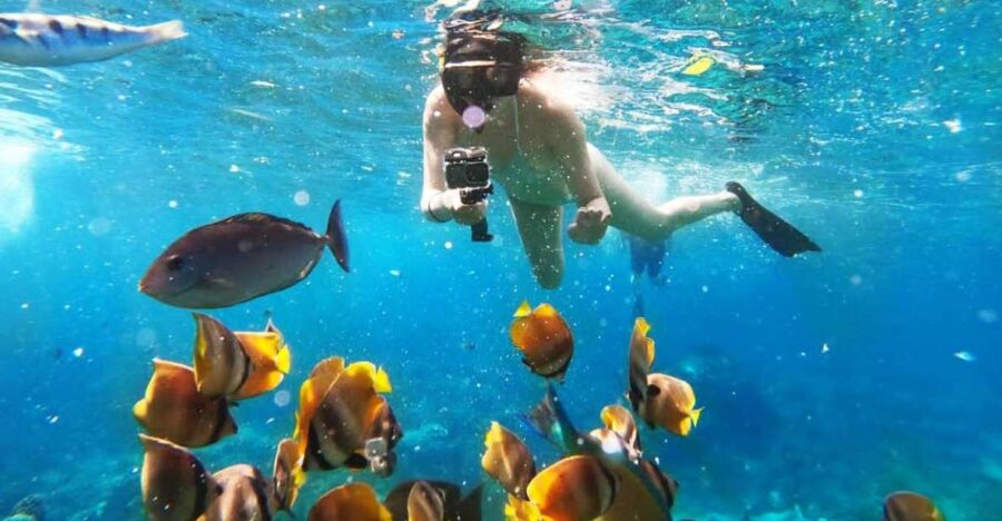 Bali: Snorkeling at Blue Lagoon and Tanjung Jepun - Overview and Pricing