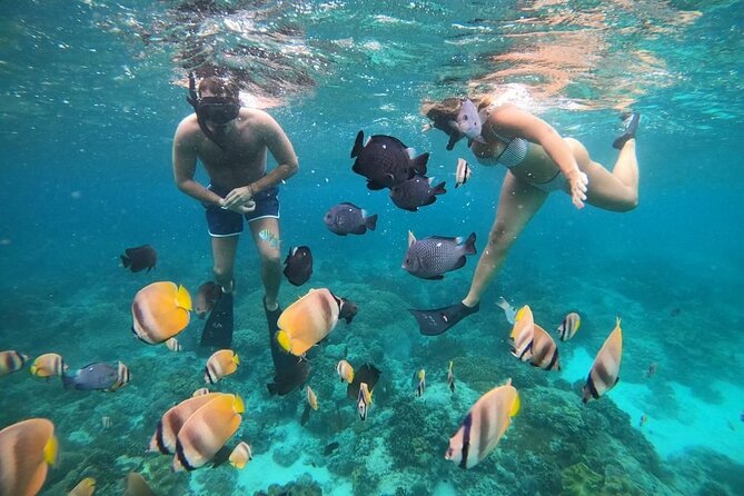 Bali Snorkeling At Bluelagoon Beach With Lunch Private Transport - Tour Overview