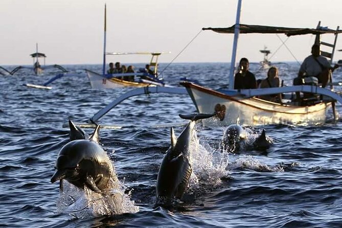 Bali Swim With Dolphin & Watching Sunrise, Banyumala Waterfall