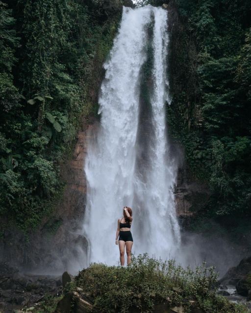Bali: Swim With Dolphins, Ulundanu Bratan & Scenic Waterfall - Tour Highlights and Duration