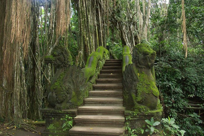 Bali Swing Ubud Tour With Lunch - Tour Overview and Highlights