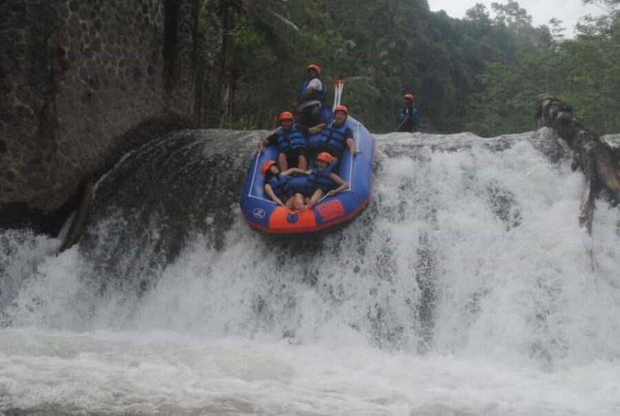 Bali : Telaga Waja River Water Rafting and Besakih Tample - Activity Overview