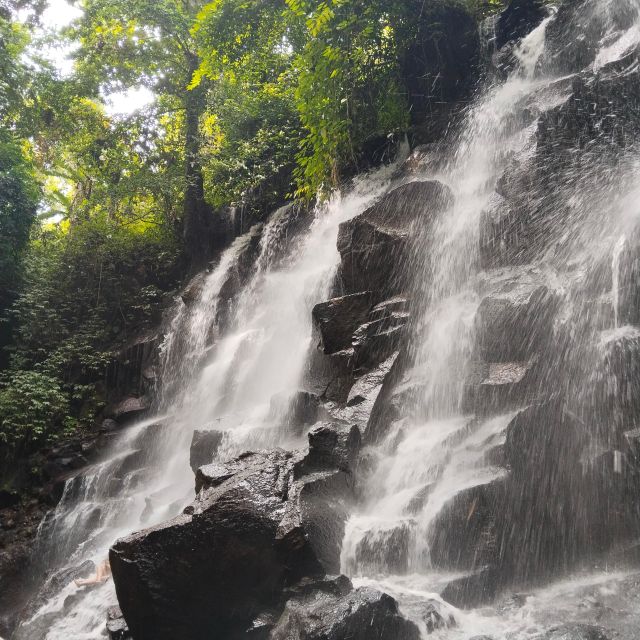 Bali: Ubud Short Trip Waterfall & Rice Terraces Walk - Overview and Pricing