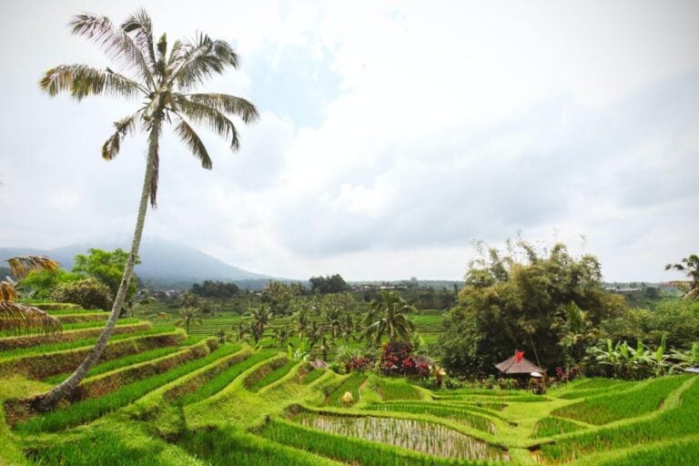 Bali: Water Temple, Waterfalls and Unesco Rice Terraces Tour