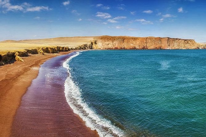 Ballestas Islands and Paracas Reserve From San Martin Port - Tour Overview