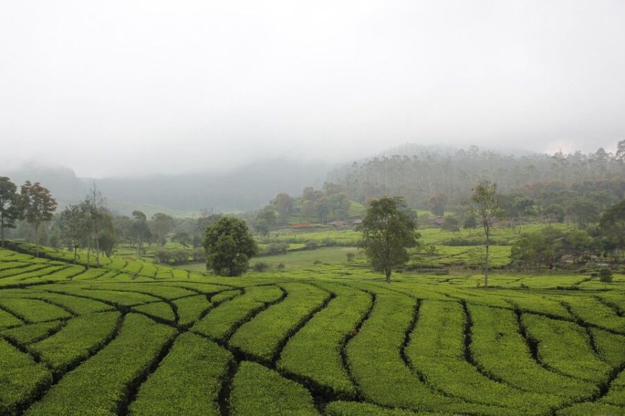 Bandung: Private Car Charter With Driver