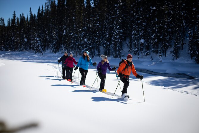 Banff National Park Snowshoeing Adventure | Small Group Guided Tour