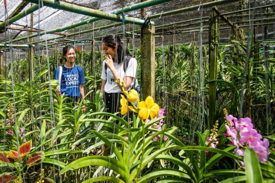 Bangkok Floating Market & Boat Ride to an Orchid Farm - Activity Overview
