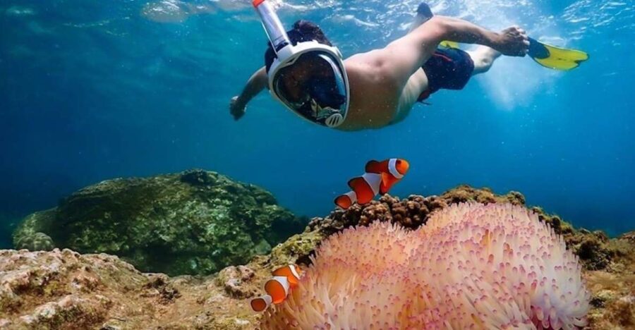 Bangkok: Nemo Island Day Trip With Drone Photos and Lunch