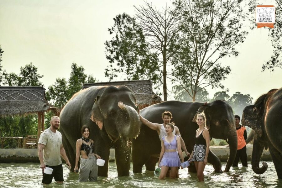 Bangkok: Pattaya Elephant Jungle Sanctuary Half-Day Tour - Tour Overview