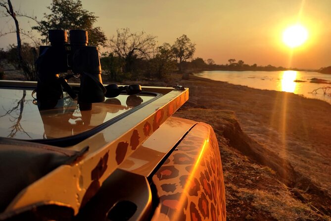 Baobab-Sunrise-Sunset-Vulture-Moonlight Safaris, 4 Options - Safari Options