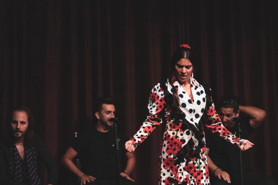 Barcelona: Flamenco Show at Palau Dalmases - Experience Overview
