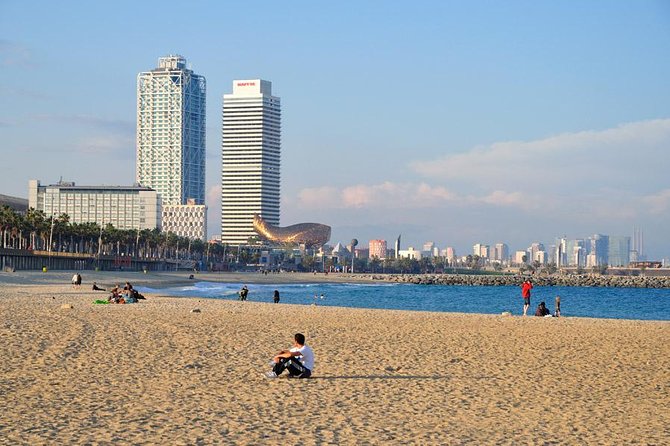 Barcelona Private 4 Hour Tour With Driver and Official Tour Guide