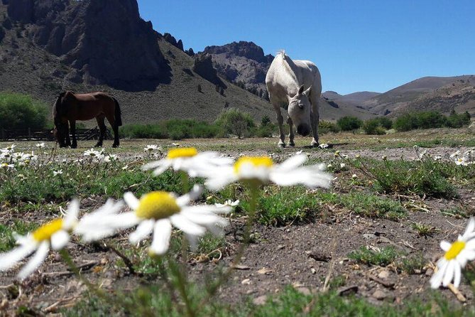 Bariloche Horseback Riding & Traditional Argentine Barbecue Tour
